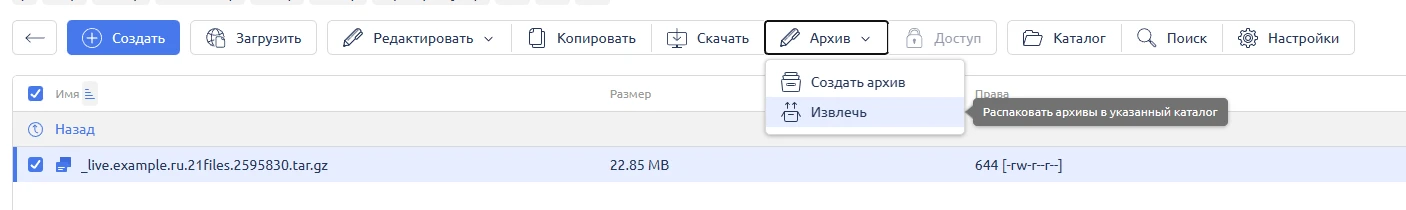 загруженный архив