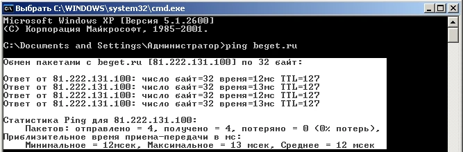 текст в терминале выделен