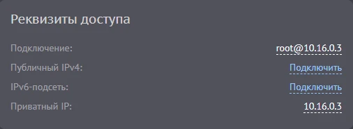 Реквизиты доступа - приватный IP