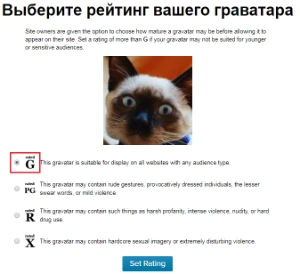 Рейтинг граватара