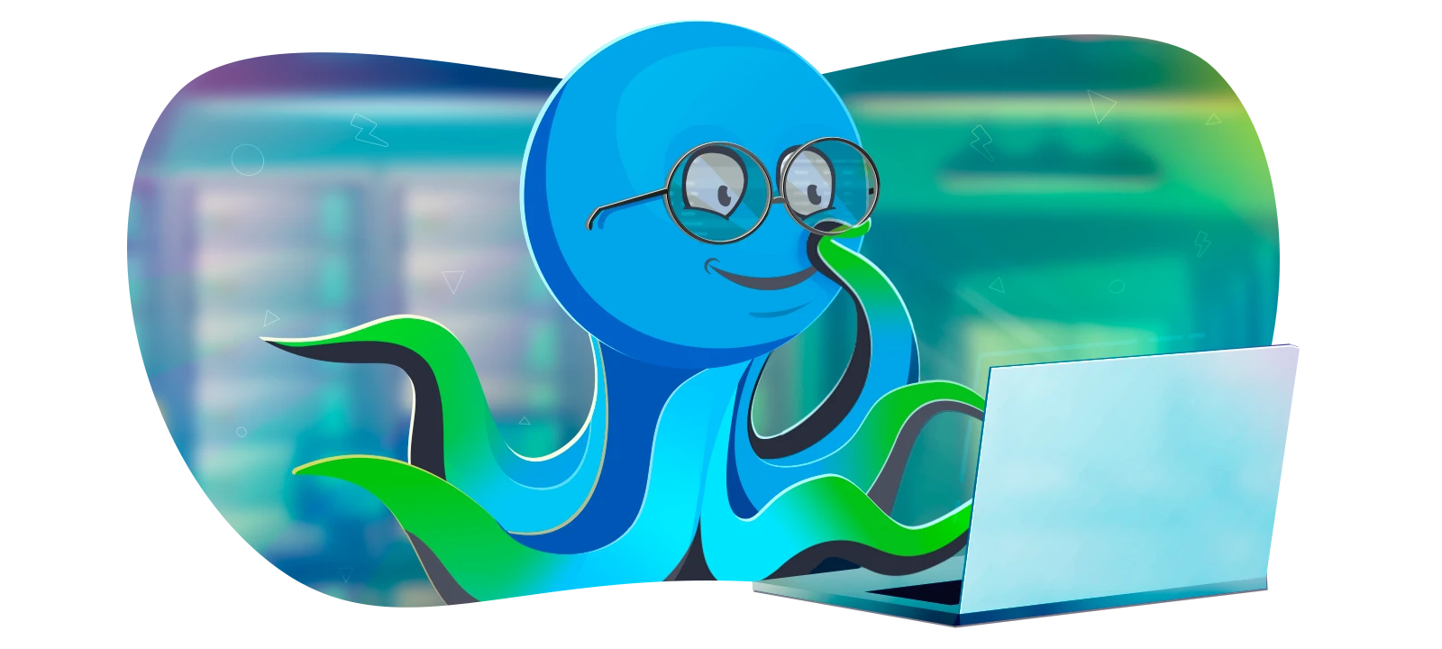 Бегет установка